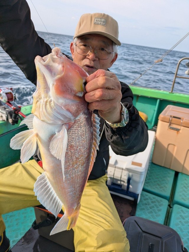 アマダイ(アカアマダイ)