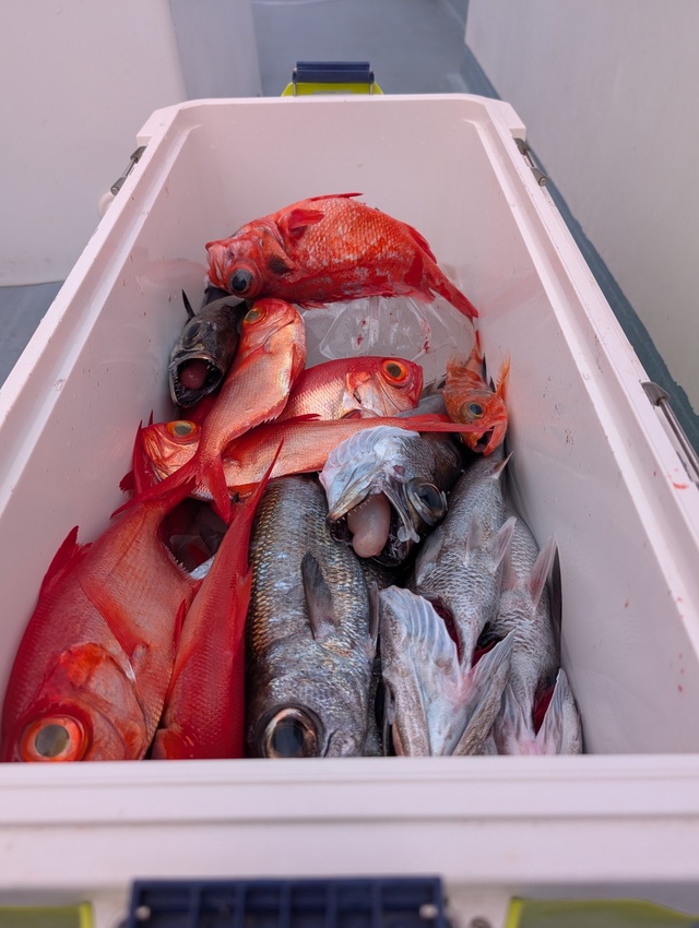 クロムツ・キンメダイ