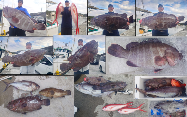 マハタ・メダイ・オナガダイ(ハマダイ)