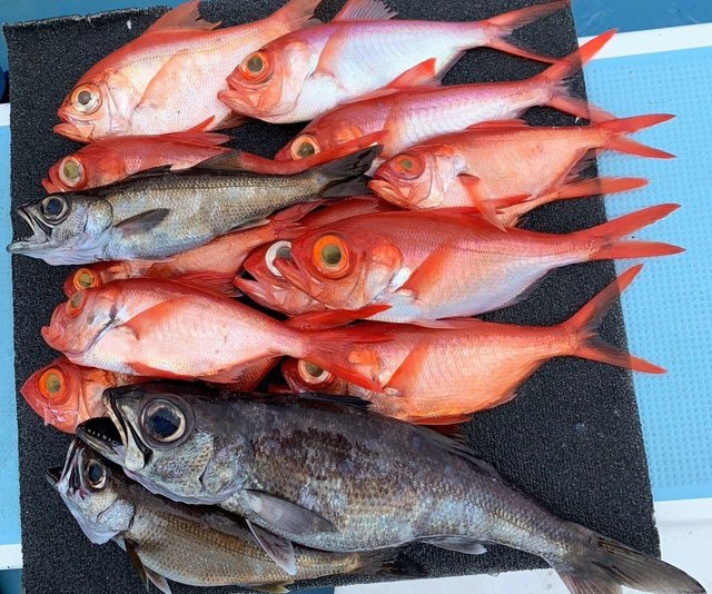 クロムツ・キンメ(キンメダイ)