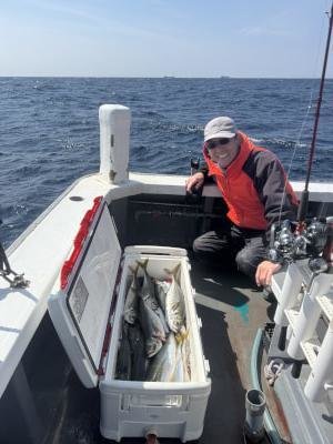 マアジ・サバ(ゴマサバ)