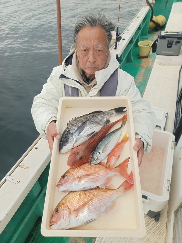 マダイ・クロダイ・アジ(マアジ)・ホウボウ・ヒメコダイ