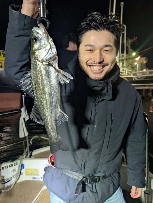 シーバス(スズキ)