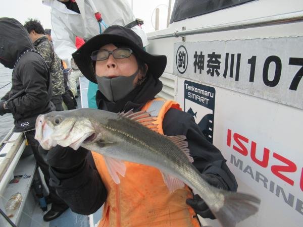 シーバス(スズキ)