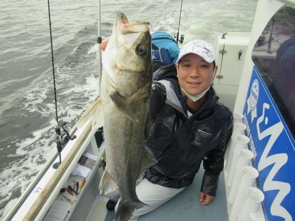 シーバス(スズキ)