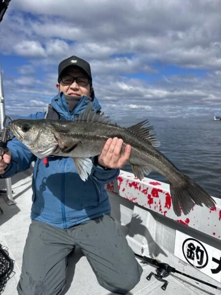 シーバス(スズキ)