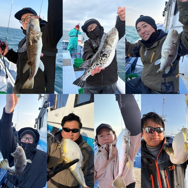 ショウサイフグ