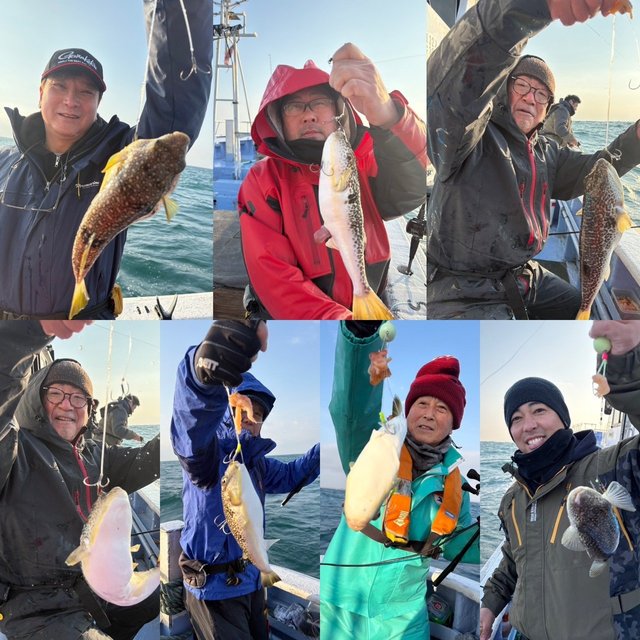 ショウサイフグ