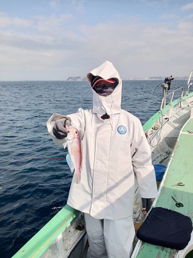 アマダイ(アカアマダイ)