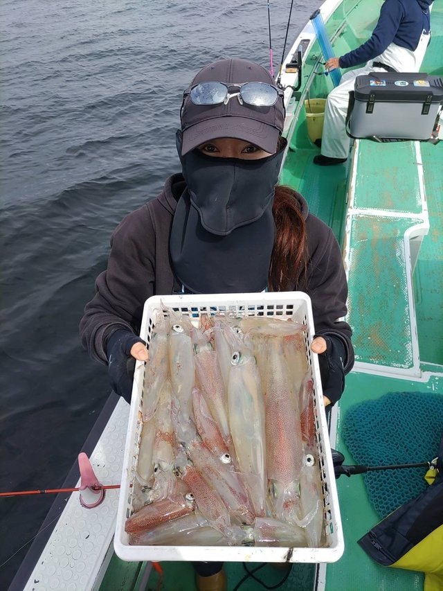 マルイカ(ケンサキイカ)