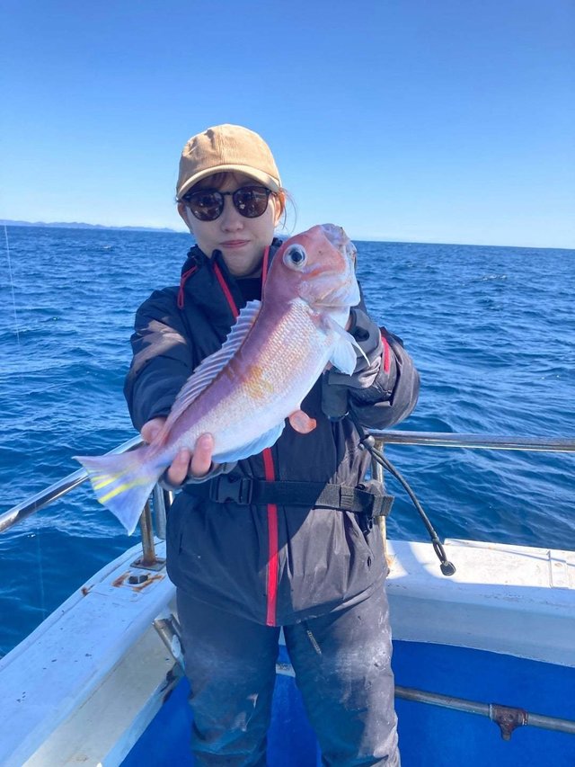 アマダイ(アカアマダイ)