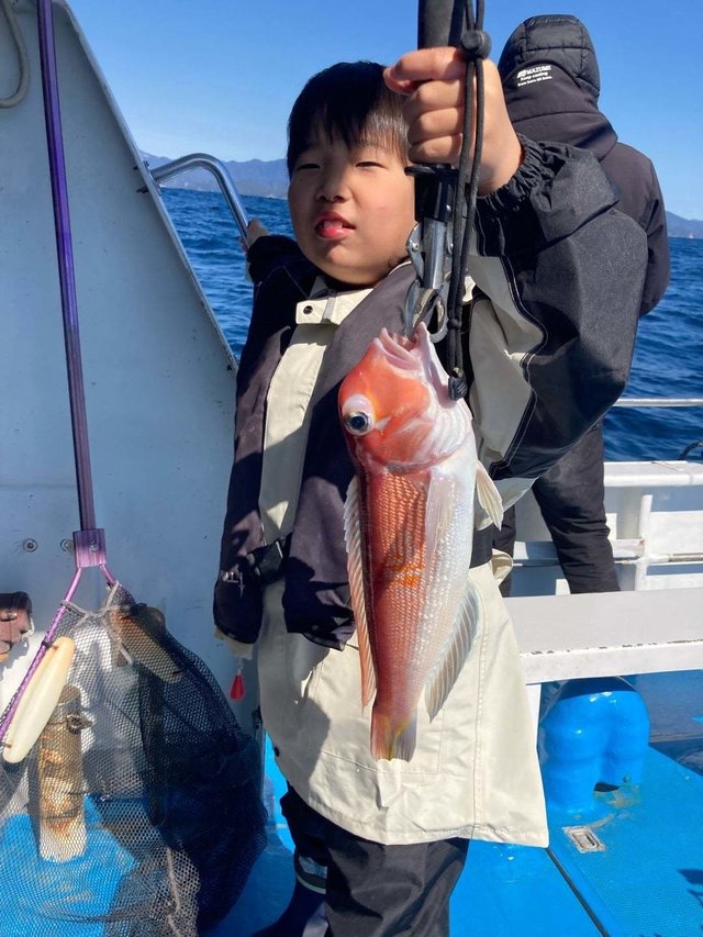 アマダイ(アカアマダイ)