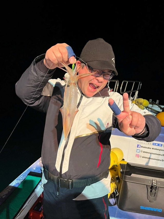 マルイカ(ケンサキイカ)