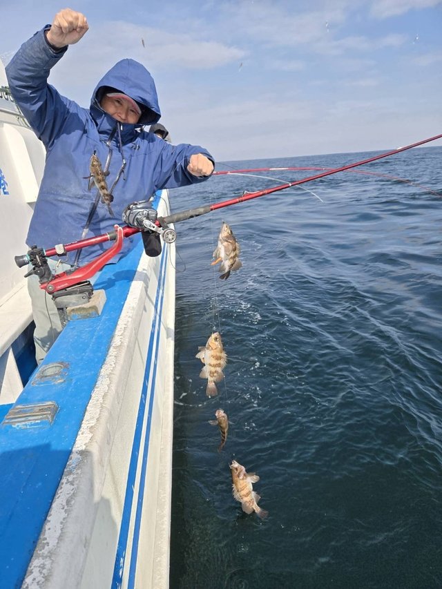 メバル(ウスメバル)