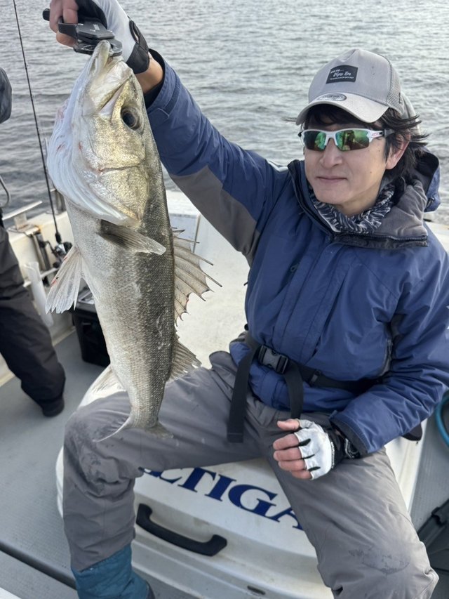 シーバス(スズキ)