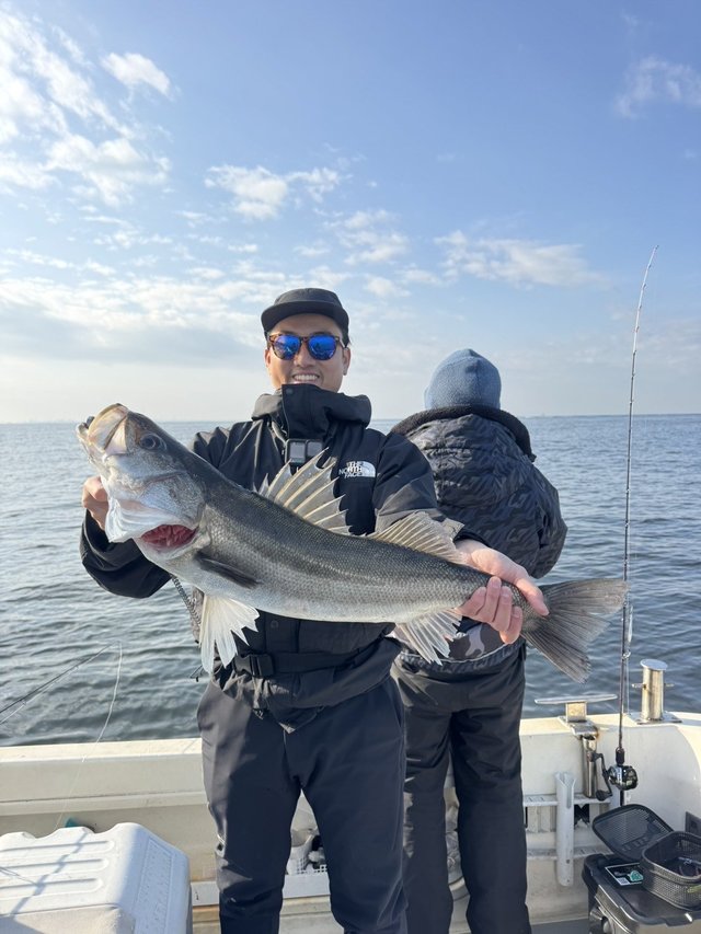 シーバス(スズキ)