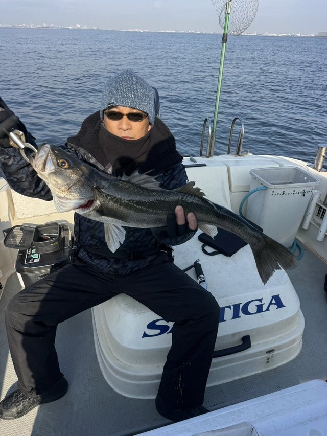 シーバス(スズキ)