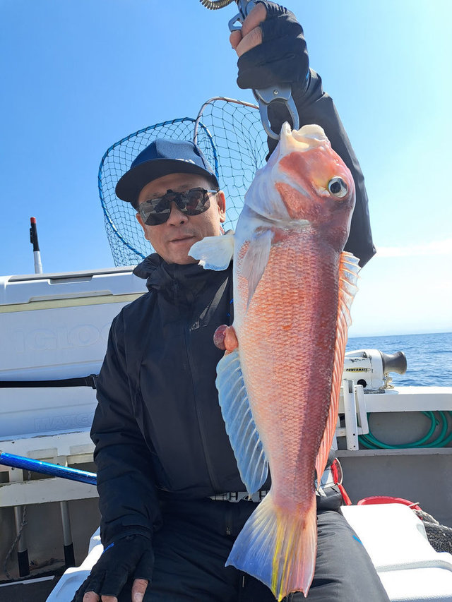 アマダイ(アカアマダイ)