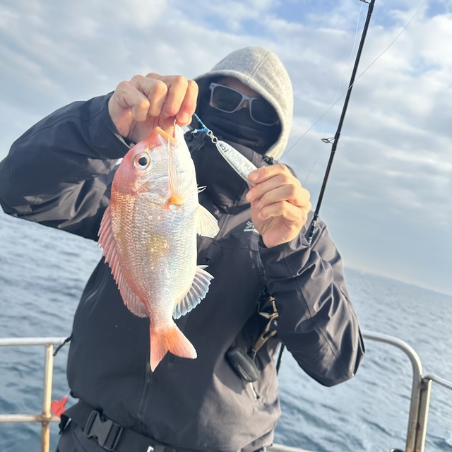 レンコダイ(キダイ)