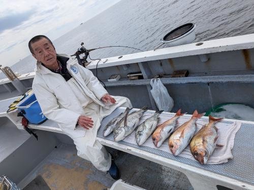 マダイ・クロダイ