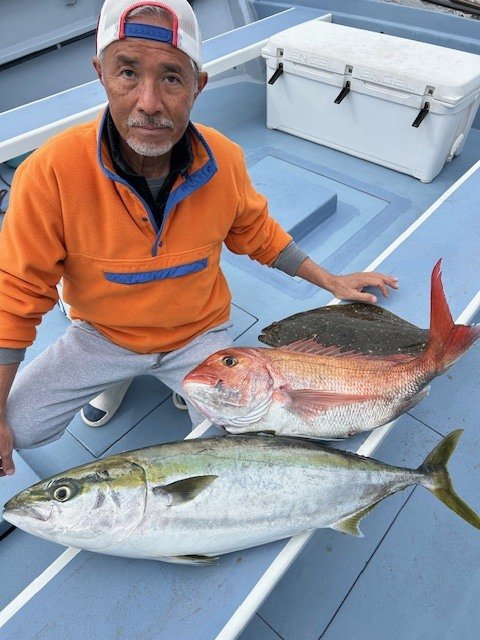 マダイ・ブリ・ヒラメ