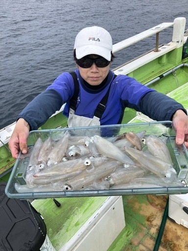 マルイカ(ケンサキイカ)