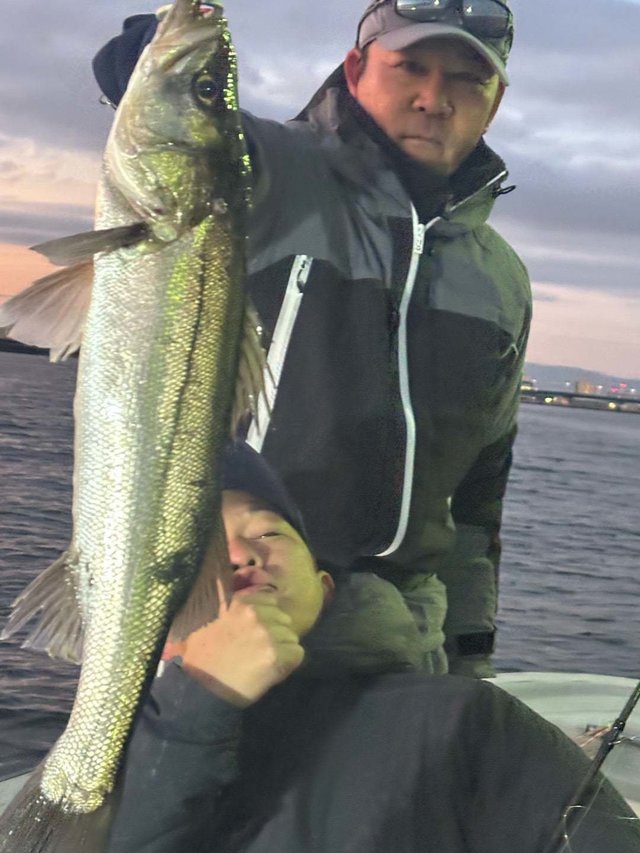 シーバス(スズキ)