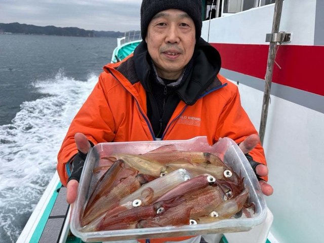 マルイカ(ケンサキイカ)