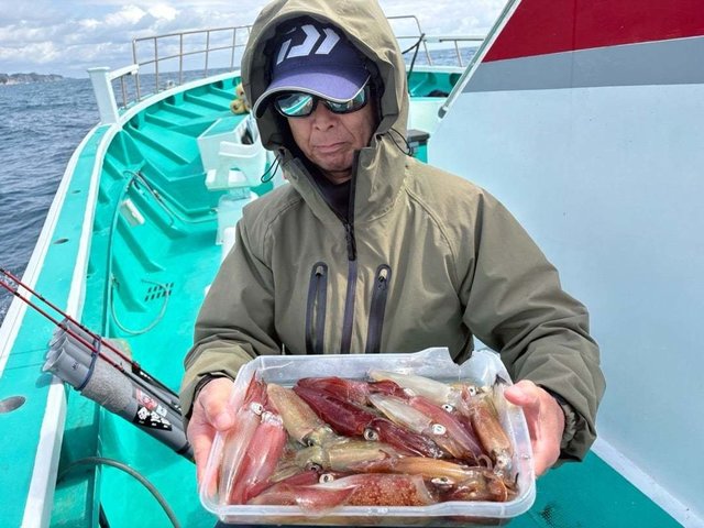 マルイカ(ケンサキイカ)