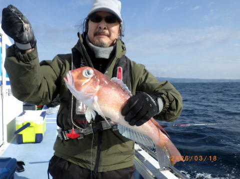 アマダイ(アカアマダイ)