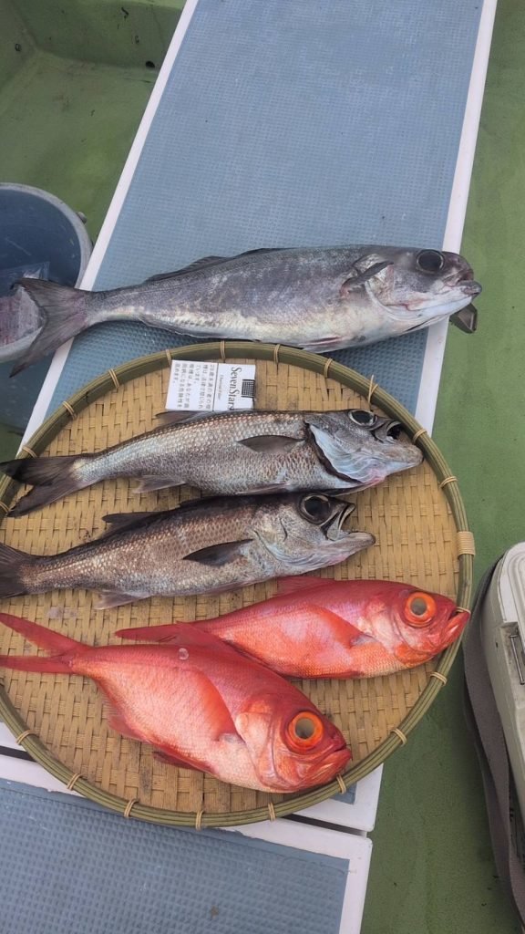 クロムツ・キンメ(キンメダイ)