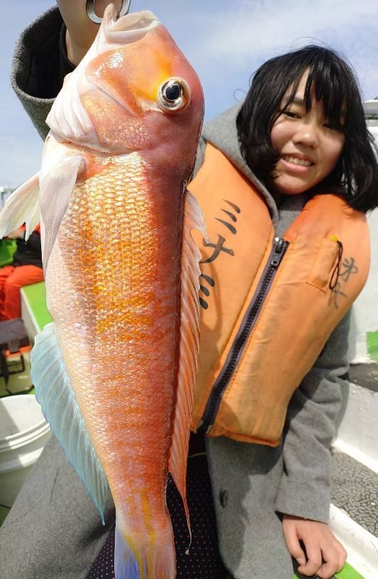 アマダイ(アカアマダイ)