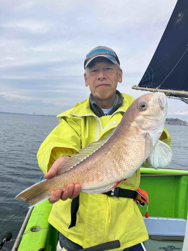 アマダイ(アカアマダイ)