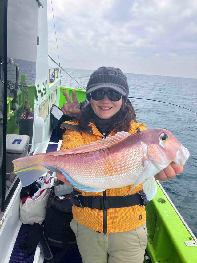 アマダイ(アカアマダイ)