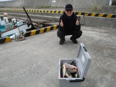 チダイ・イサギ(イサキ)