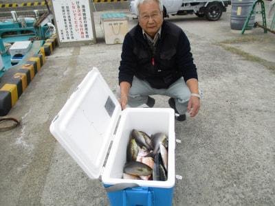 チダイ・アジ(マアジ)・イサギ(イサキ)