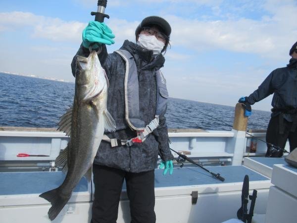 シーバス(スズキ)