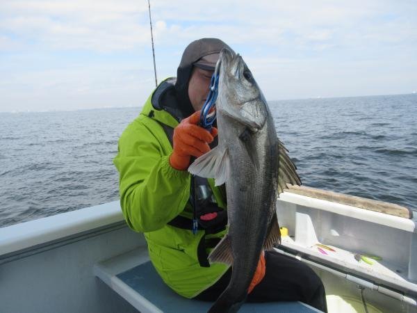 シーバス(スズキ)