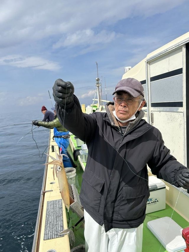 マルイカ(ケンサキイカ)