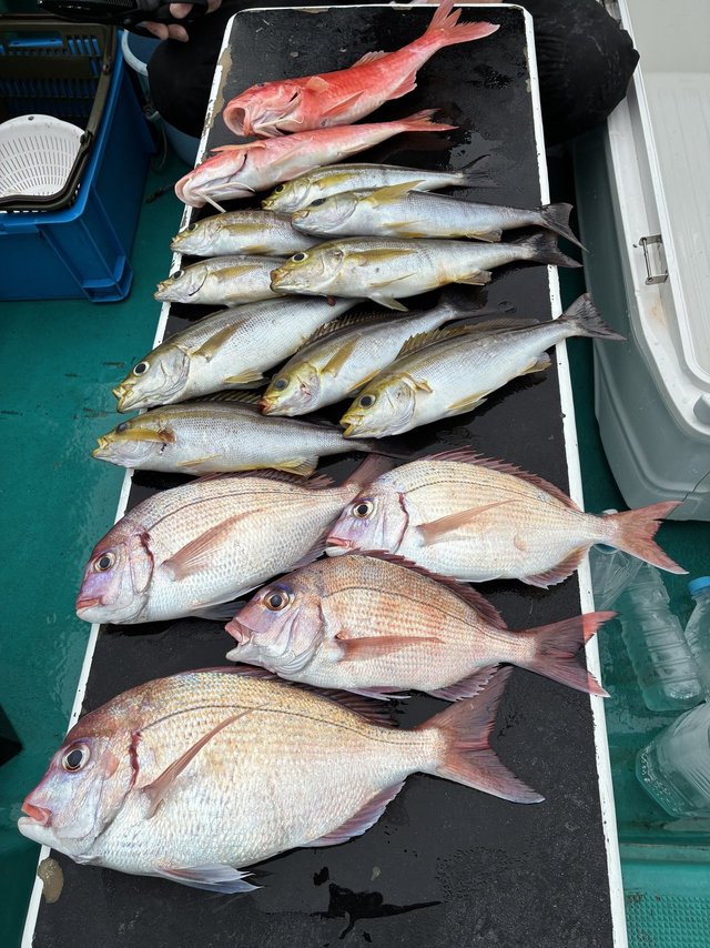 マダイ・イサギ(イサキ)