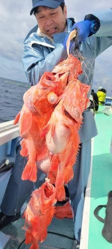 メヌケ(アコウダイ)