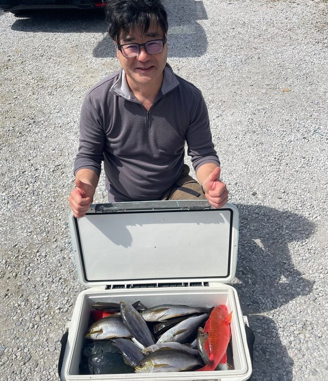 イサキ・ウマズラハギ(ウマヅラハギ)