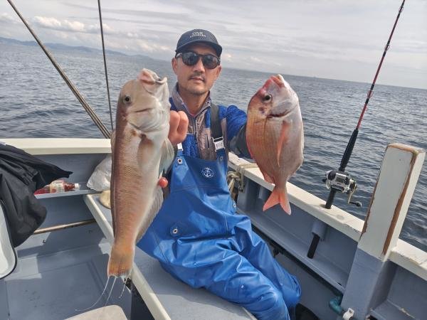 ハナダイ(チダイ)・シロアマダイ