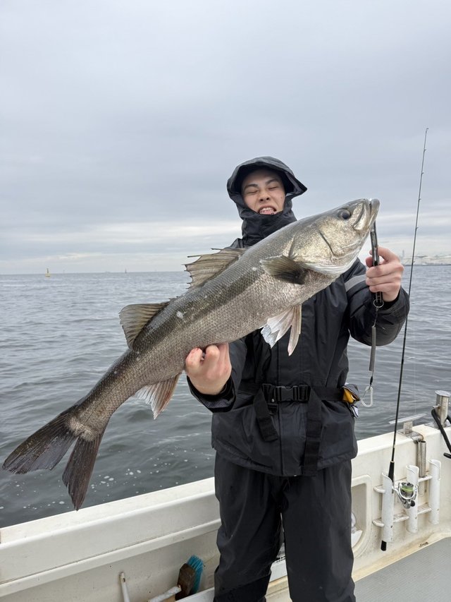 シーバス(スズキ)