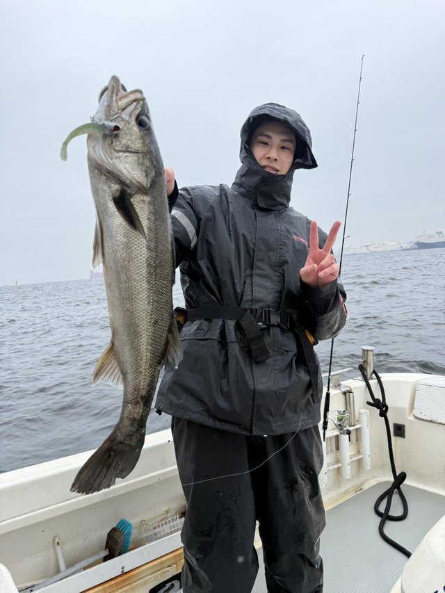 シーバス(スズキ)