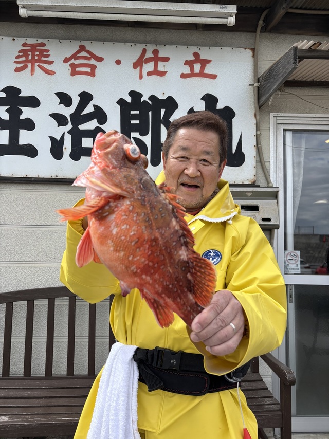 カンコ(ウッカリカサゴ)