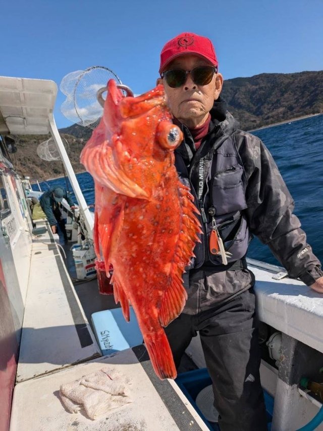 ウッカリカサゴ