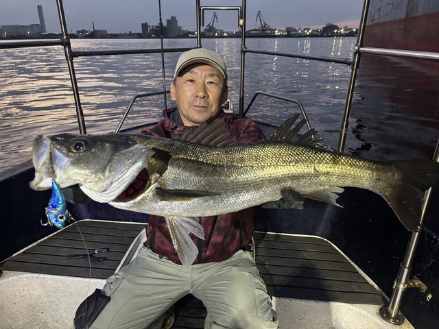 シーバス(スズキ)