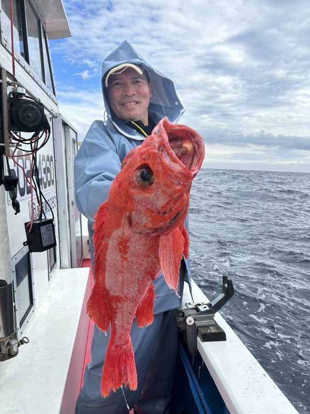 ベニアコウ(オオサガ)