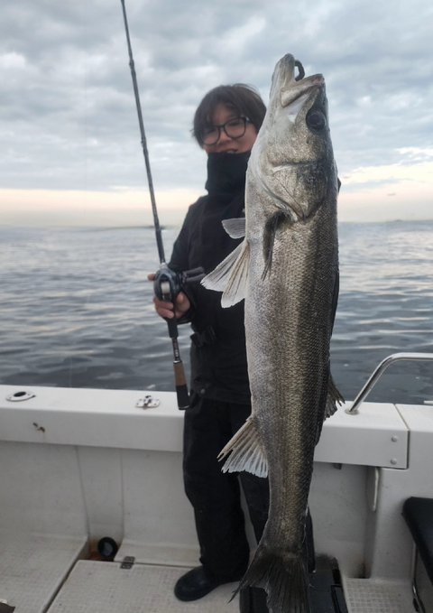 シーバス(スズキ)